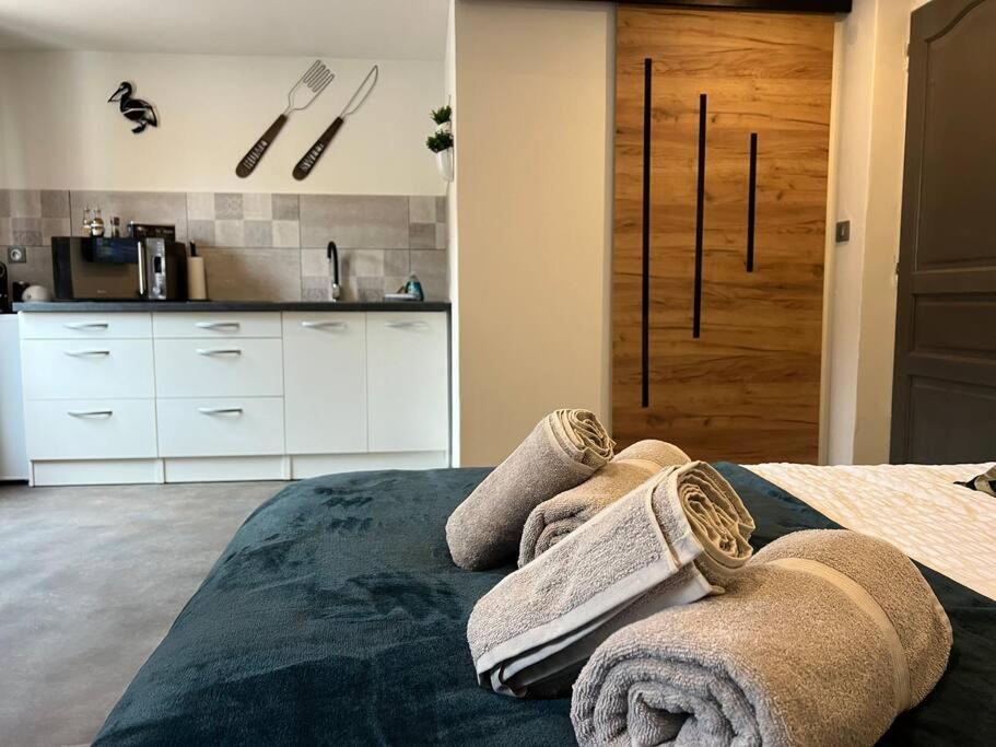 Studio Le Petit Pelican Chatenois  Ngoại thất bức ảnh